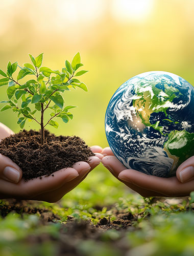 環(huán)境保護
